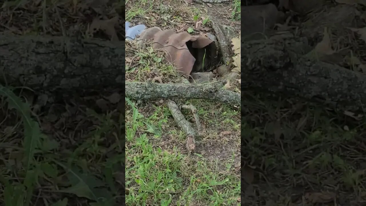 that's a huge stick #shorts