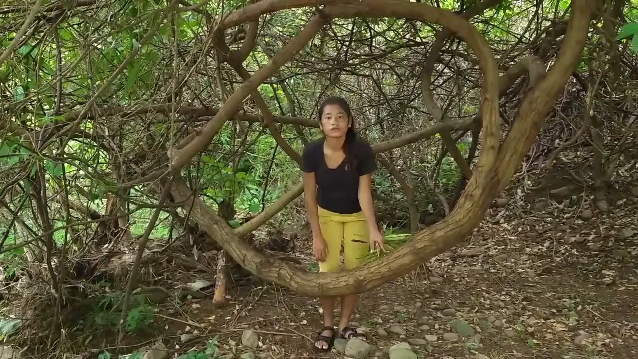 Found lots Swarm of Coconut worms for food in Jungle