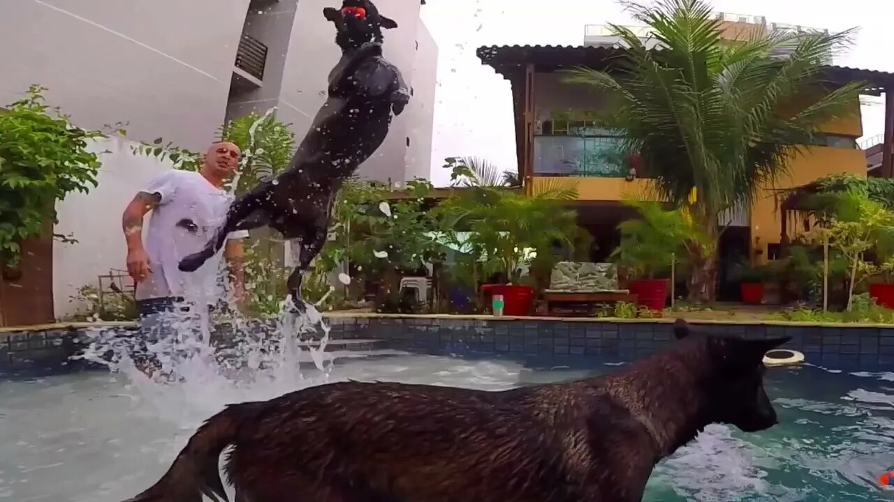 HORA DA NATAÇÃO !!