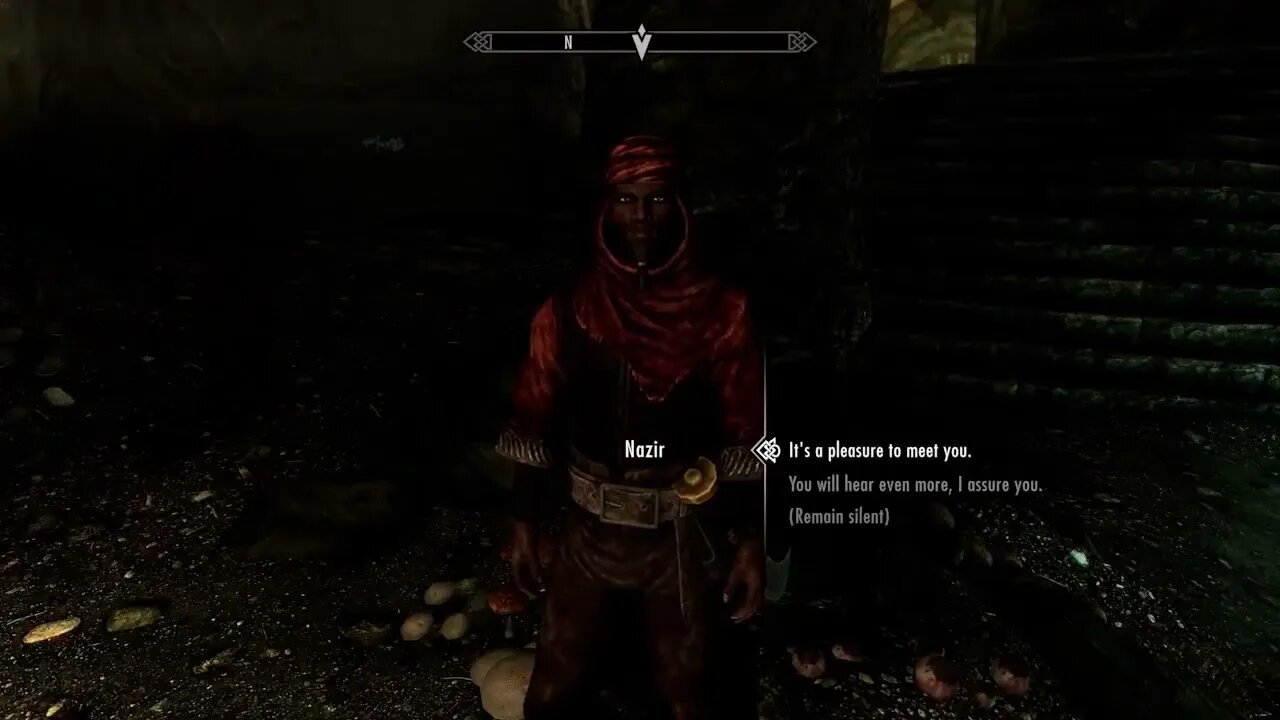 Skyrim #27