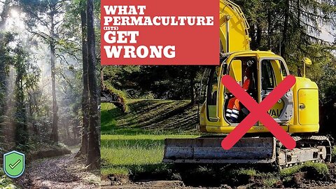 What permaculture(ists) get wrong