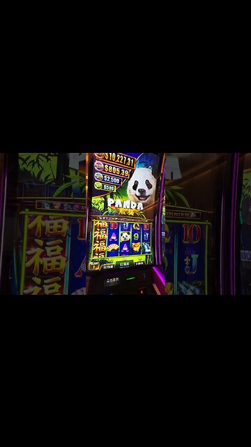 Tickle The Panda For A Massive Win #slots #casino #gaming