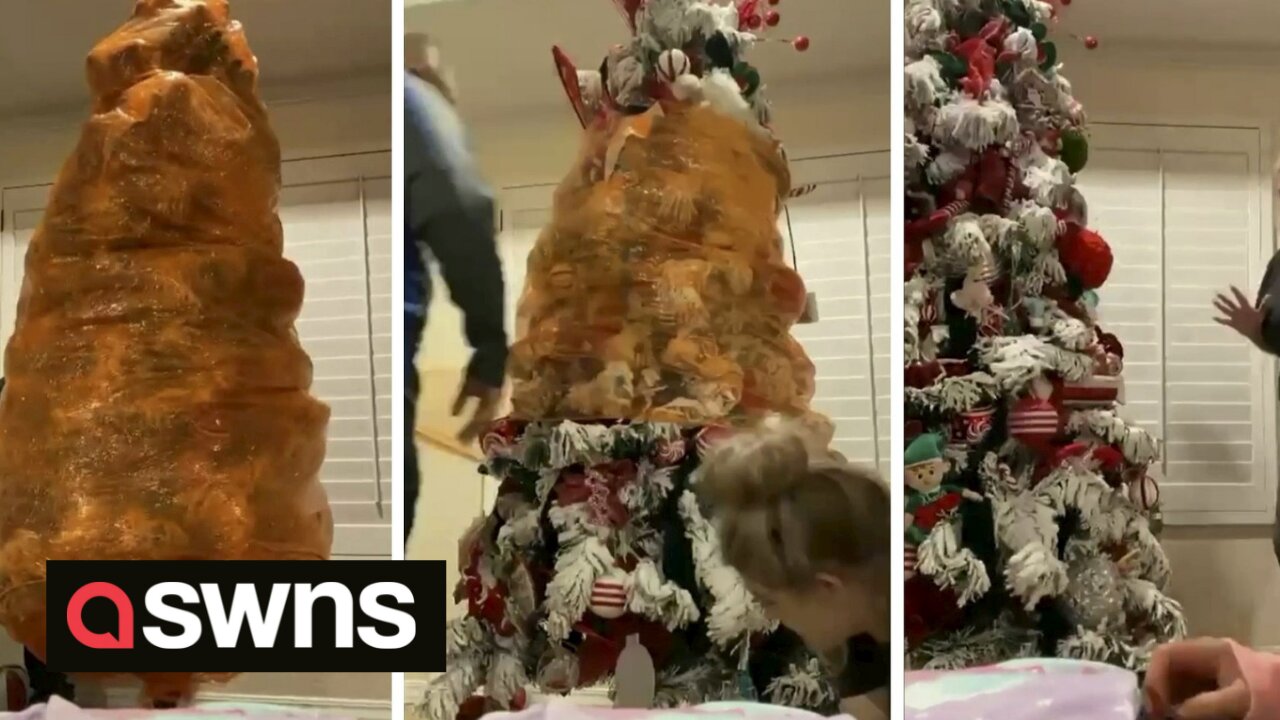 US mum wrapped Christmas tree in cellophane to preserve baubles hung by her son weeks before he died