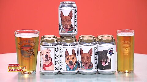 Motorworks Brewing |Morning Blend