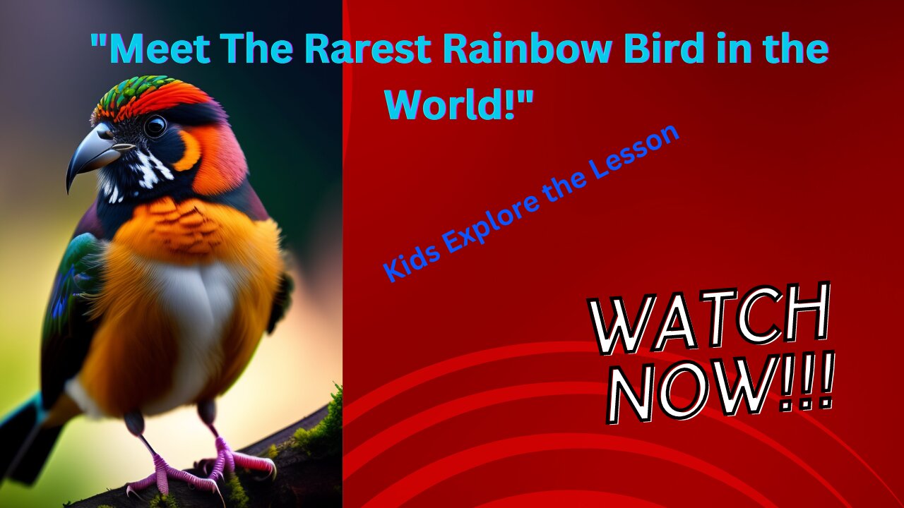 "Meet The Rarest Rainbow Bird in the World!"