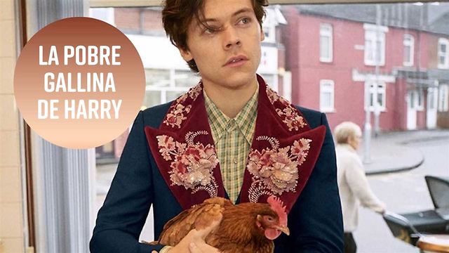 Los fans de Harry Styles, indignados con el spot de Gucci