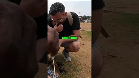 Sri Lankan guy offers girl a Pearl Necklace