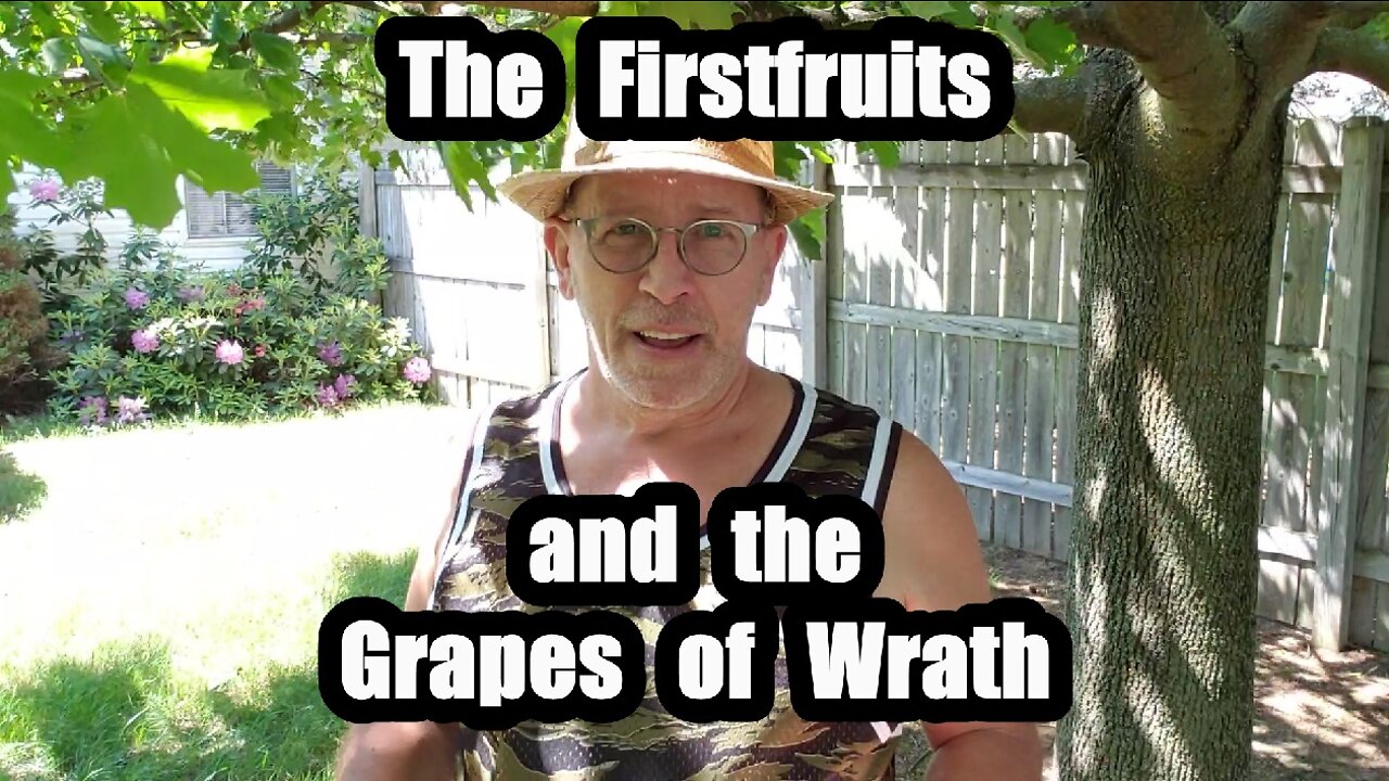 The Firstfruits & the Grapes of Wrath: Revelation 14