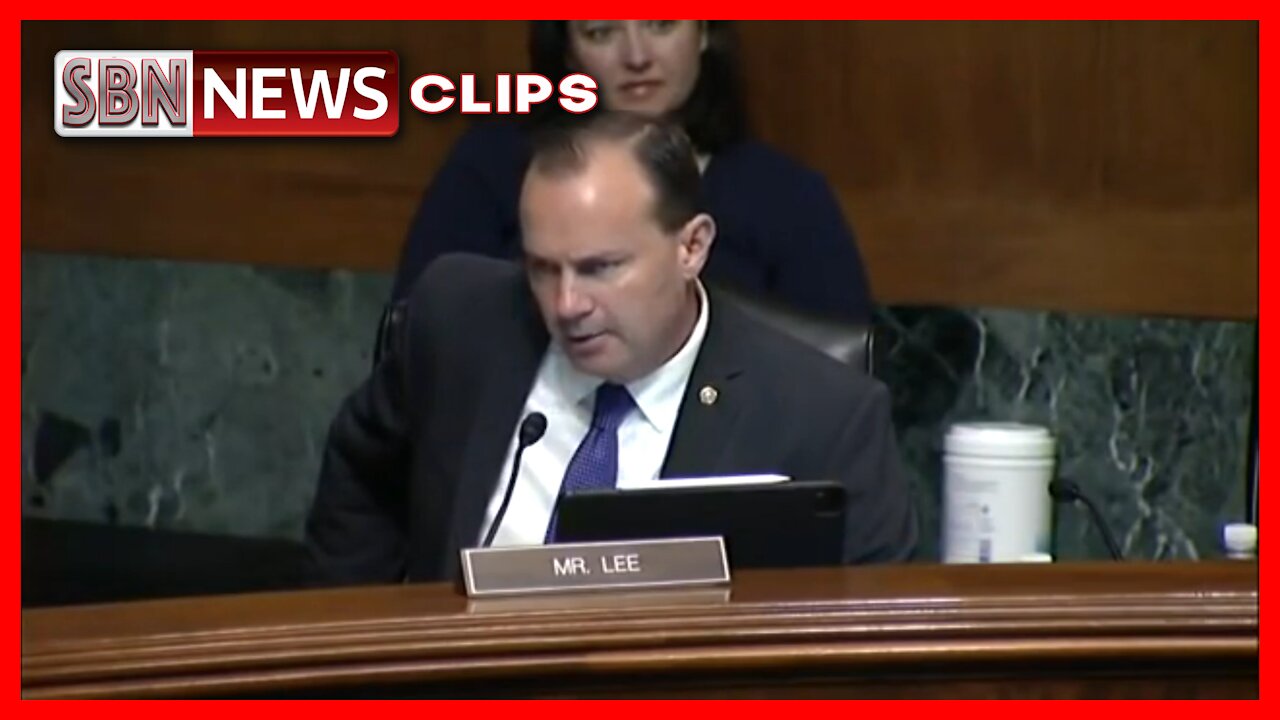 The Airline Industry Is That Racist?' Mike Lee Mocks Voter ID Opposition - 3985