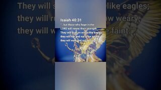 Holy Bible Verse Isaiah 40:31 - #shorts #shortsvideo #shortsviral