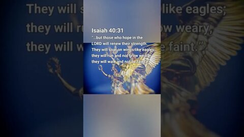 Holy Bible Verse Isaiah 40:31 - #shorts #shortsvideo #shortsviral