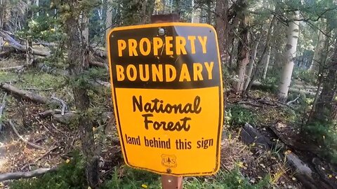 My New Quaint Off-Grid Colorado Community Tucked Away DEEP In The Forest...
