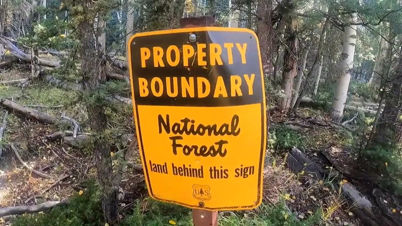 My New Quaint Off-Grid Colorado Community Tucked Away DEEP In The Forest...