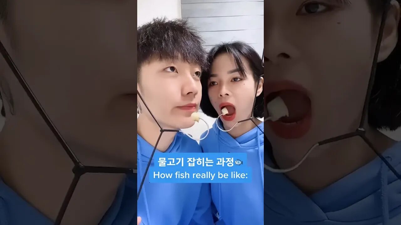 This Is What Happens To Fish! 🤣