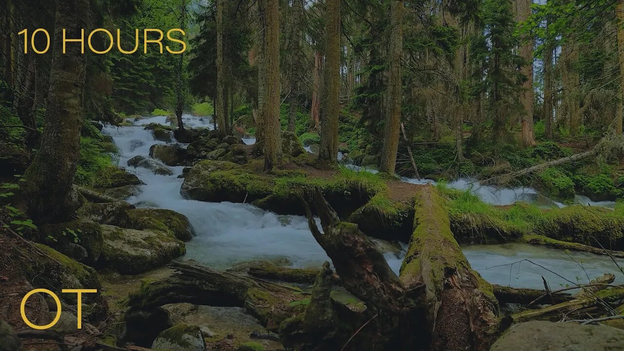 Soothing Mountain River in the Wood | Rapids & Atmospheric Sounds Ambience | Relax | Sleep |10 HOURS
