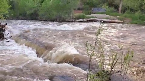 Creek in Town