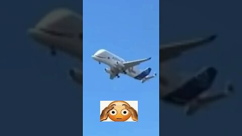 When the beluga flies past your soccer game