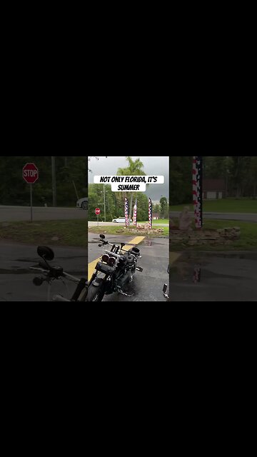 When the radar is clear in Florida #harleydavidson