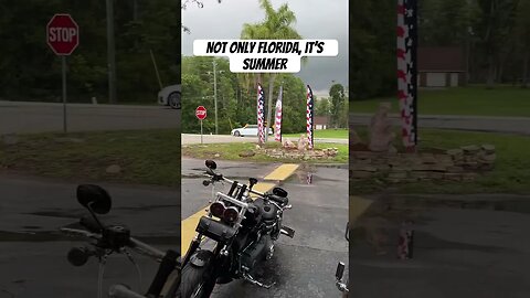When the radar is clear in Florida #harleydavidson