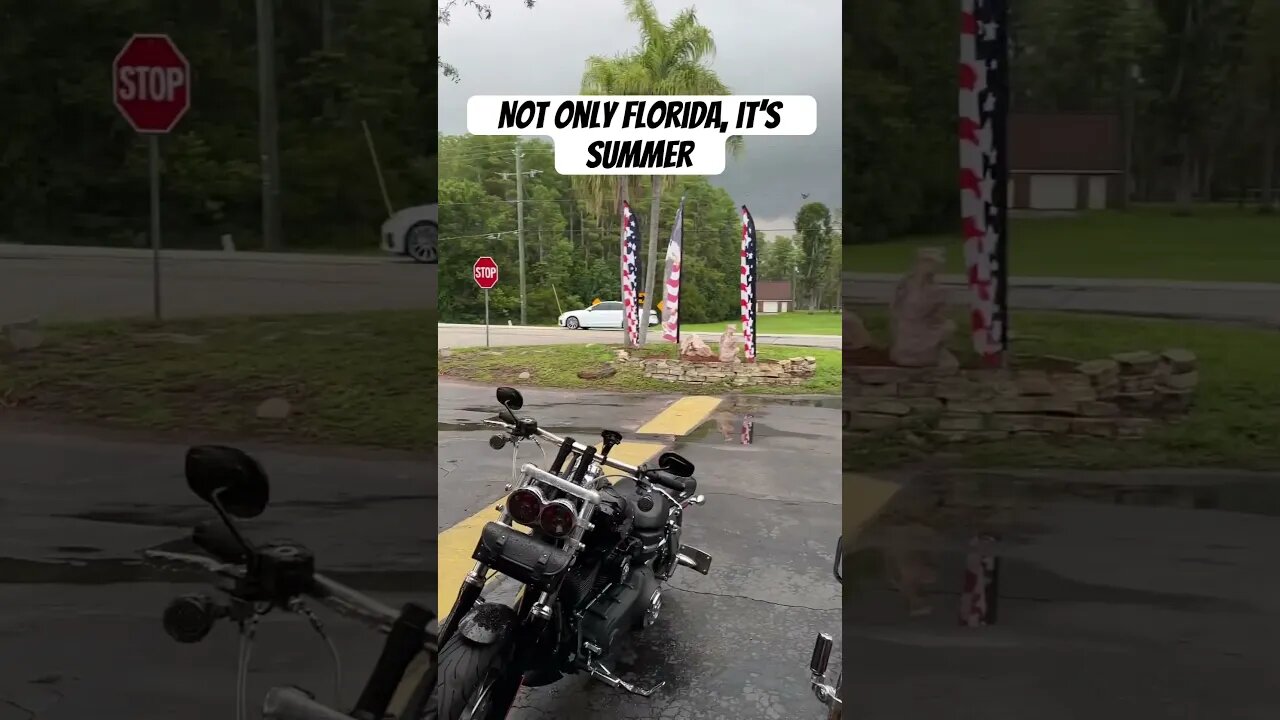 When the radar is clear in Florida #harleydavidson