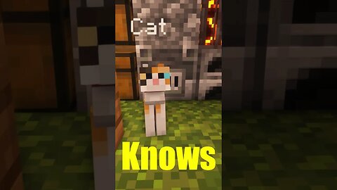 Help me pick the perfect name for my new furry friend!