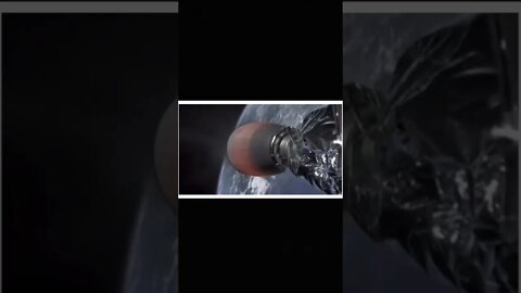 YIKES! Mouse ON TOP of Space X Rocket Lives - Amazing Animals￼