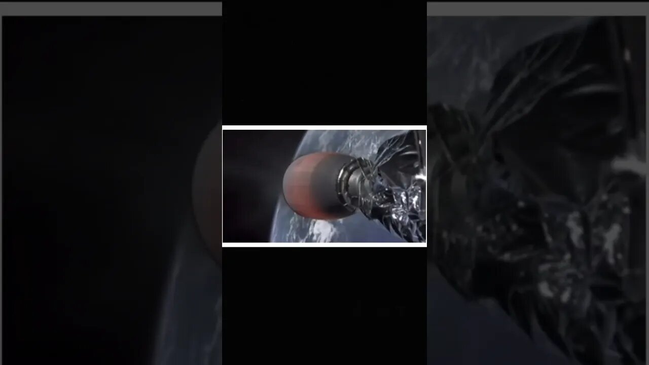 YIKES! Mouse ON TOP of Space X Rocket Lives - Amazing Animals