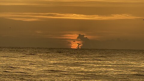 Sunset in Paradise #FYP #Sunset #MarcoIsland #MarcoBeach #mywalksinparadise #4K