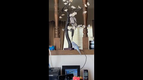 Spike in a tree