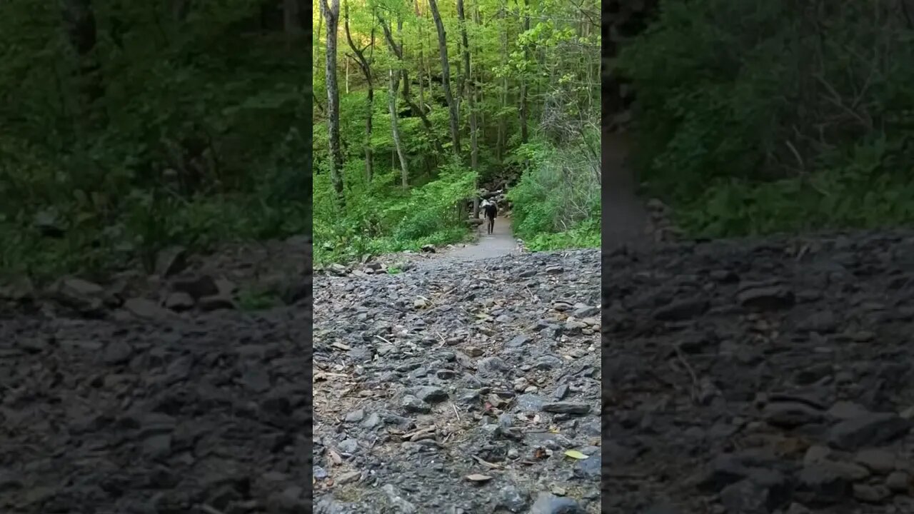 North Georgia hiking at Amicalola Falls!