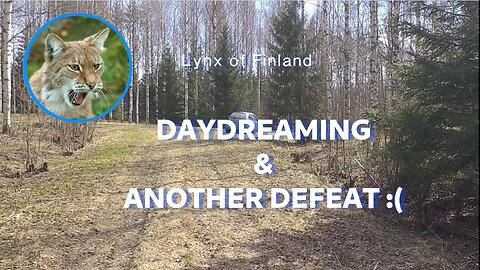 Daydreaming & Another deafeat :(