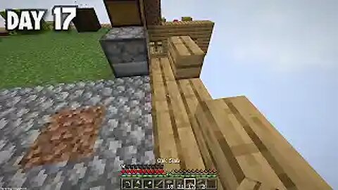 I Survived 100 Days on ONE BLOCK in Minecraft