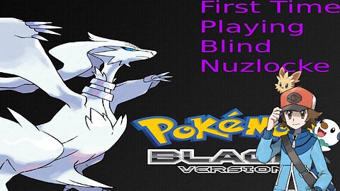 Our Journey Begins Pokemon Black Nuzlocke
