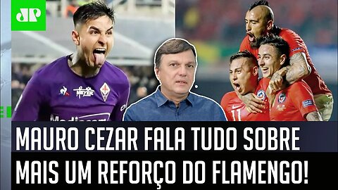 "ESTÁ QUASE CERTO! O Flamengo está PERTO DE CONTRATAR o..." Mauro Cezar REVELA INFORMAÇÃO!