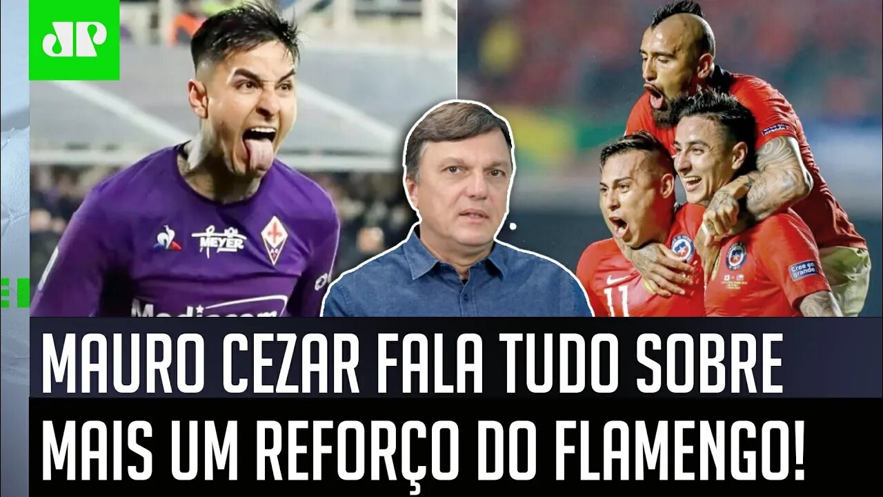 "ESTÁ QUASE CERTO! O Flamengo está PERTO DE CONTRATAR o..." Mauro Cezar REVELA INFORMAÇÃO!