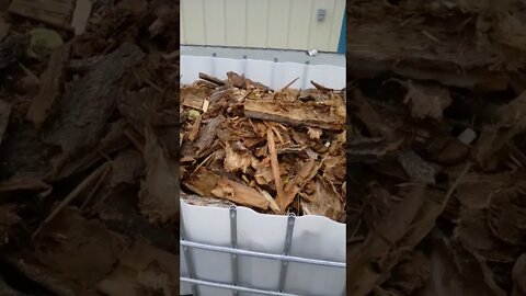 No. 817 – The Firewood Is Gone #Shorts