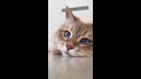 her eyes 👀❤️