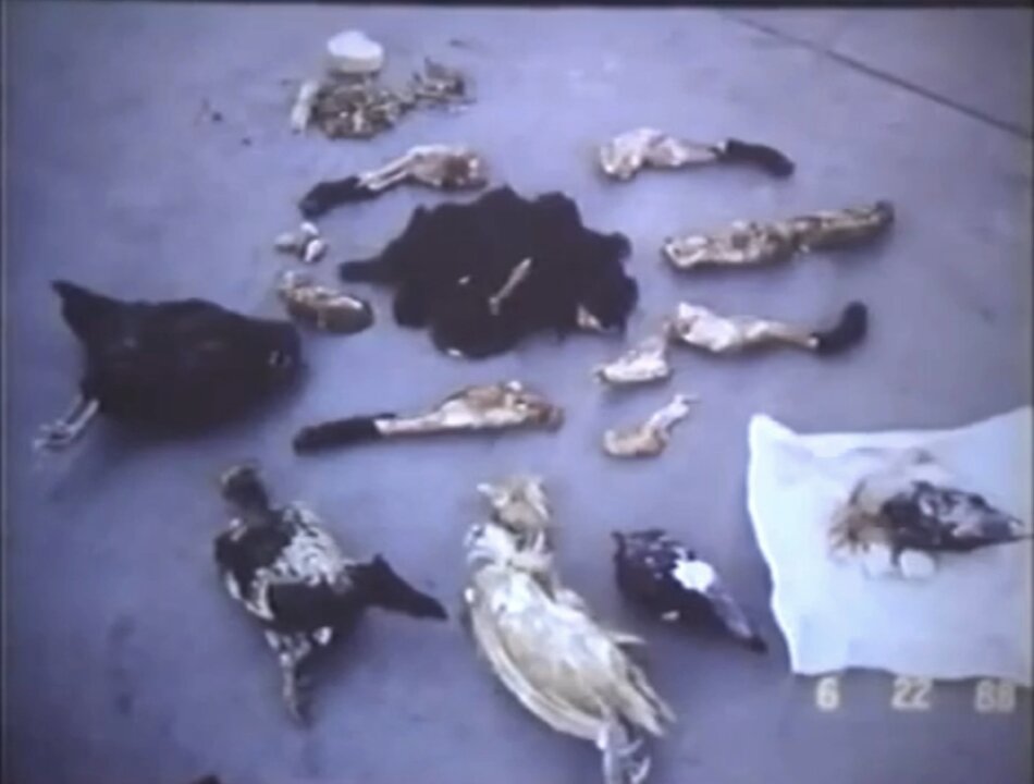 • Revelation 18 • "FALLEN is BABYLON the Great!" | The Occult & Satanism in America [PT.3]