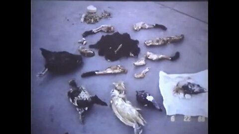 • Revelation 18 • "FALLEN is BABYLON the Great!" | The Occult & Satanism in America [PT.3]