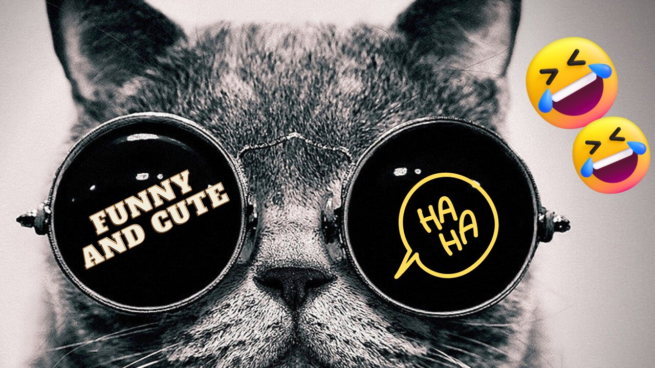 Cute cats funny videos Compilation | Cats funny moments #cats #cute #pets #animals