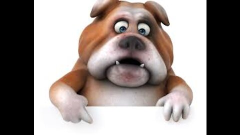 funny dog ​​saw himself