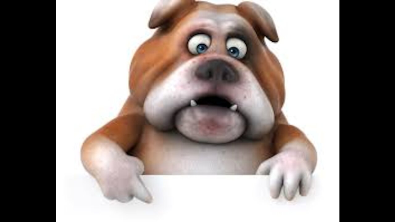 funny dog saw himself