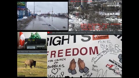 Freedom Convoy 2022 Feb 11 Ambassador Bridge multi feed