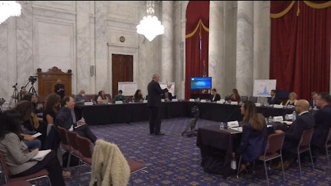 Must Watch! Senator Johnson Hosts D.C. Panel Highlighting Gene Therapy Poison Permanent 'Injuries'
