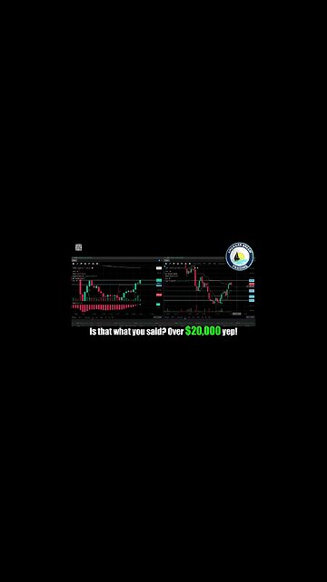 Extraordinary Day - VIP Member's $20,000 Profit Trading Success In The Stock Market