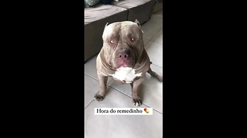 O Amor está no ar...