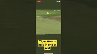 Tiger Woods hole in one at waste management! #tigerwoods #golf #shorts