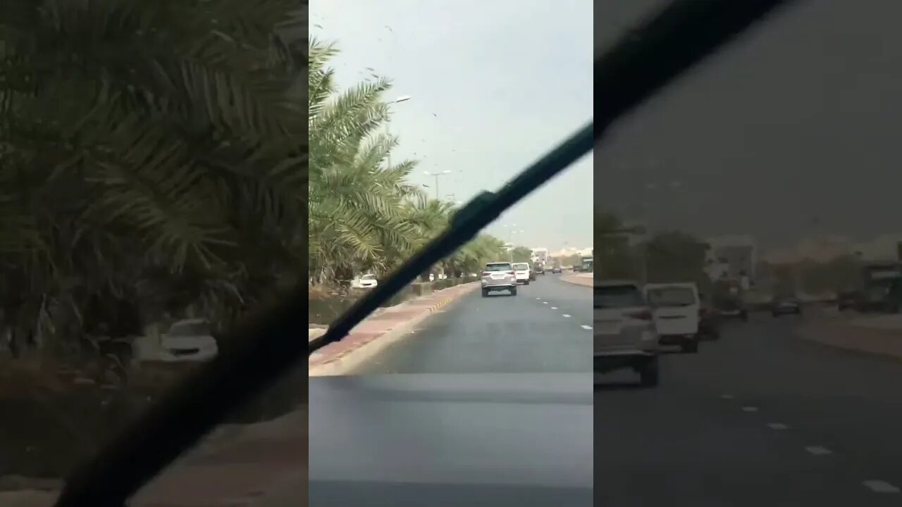 Blessings rain