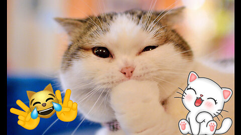 New Funny Animals 😂 Funniest Cats and Dogs Videos 😺🐶