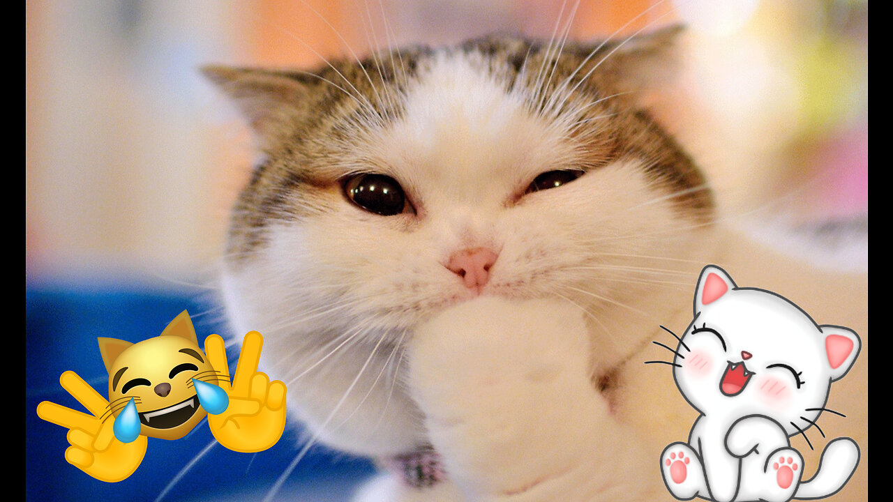 New Funny Animals π Funniest Cats and Dogs Videos πΊπΆ